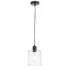 Bonnie Clear Glass Pendant In Matt Black