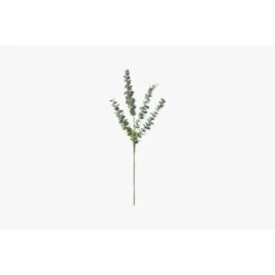 Lazni Eucalyptus Spray Stem, Set Of Six