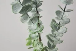 Lazni Eucalyptus Spray Stem, Set Of Six -Perch & Parrow Home Sales Store pp2003472 de