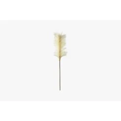 Lazni Pampas Feather Stem, Set Of Five