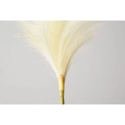 Lazni Pampas Feather Stem, Set Of Five -Perch & Parrow Home Sales Store pp2003481 de