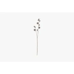 Lazni Pom Pom Spray Stem, Set Of Six