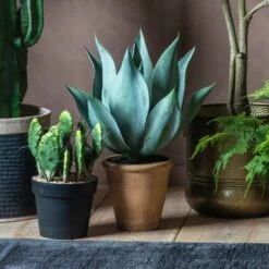 Spike Faux Aloe Plant With Wide Leaves -Perch & Parrow Home Sales Store pp2003962 l1