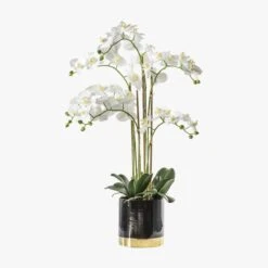 Faux White Orchid In Black Pot