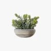 Faux Sedum In Cement Pot, Large