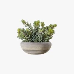 Faux Sedum In Cement Pot, Large