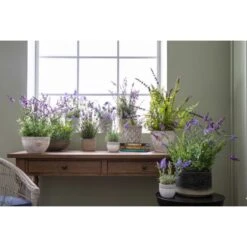 Ashlyn Gold Finish Cement Pot -Perch & Parrow Home Sales Store pp2004281 als