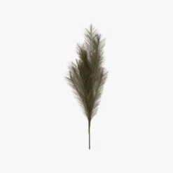 Stipa Feathered Spray In Khaki - Pack Of 6