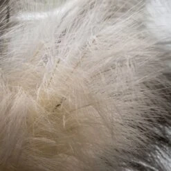 Stipa Feathered Stem In Ivory - Pack Of 3 -Perch & Parrow Home Sales Store pp22132557 ld1