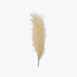 Stipa Feathered Stem In Ivory - Pack Of 3