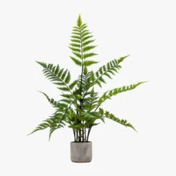 Solana Faux Fern In Stone Grey Pot
