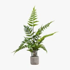 Solana Faux Fern In Stone Grey Pot -Perch & Parrow Home Sales Store pp22363496 p45