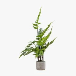 Solana Faux Fern In Stone Grey Pot -Perch & Parrow Home Sales Store pp22363496 p90