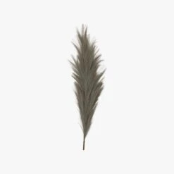 Stipa Feathered Stem In Grey - Pack Of 3