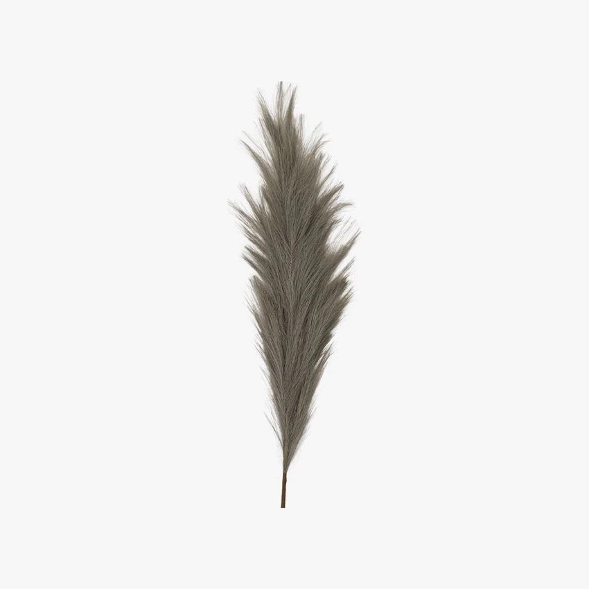 Stipa Feathered Stem In Grey - Pack Of 3 1 Stipa Feathered Stem In Grey - Pack Of 3