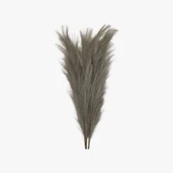 Stipa Feathered Stem In Grey - Pack Of 3 6 Stipa Feathered Stem In Grey - Pack Of 3 -Perch & Parrow Home Sales Store pp22422557 pd1