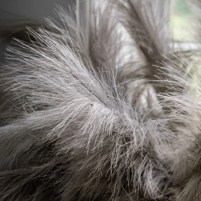 Stipa Feathered Stem In Grey And Green - Pack Of 3 4 Stipa Feathered Stem In Grey And Green - Pack Of 3 - Image 4