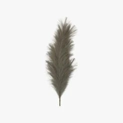 Stipa Feathered Stem In Grey And Green - Pack Of 3