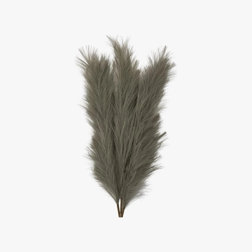 Stipa Feathered Stem In Grey And Green - Pack Of 3 3 Stipa Feathered Stem In Grey And Green - Pack Of 3 - Image 3