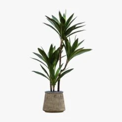 Solana Faux Yucca Tree In Sand Pot