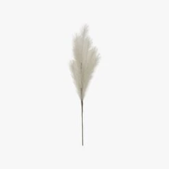 Stipa Feathered Spray In Grey - Pack Of 6