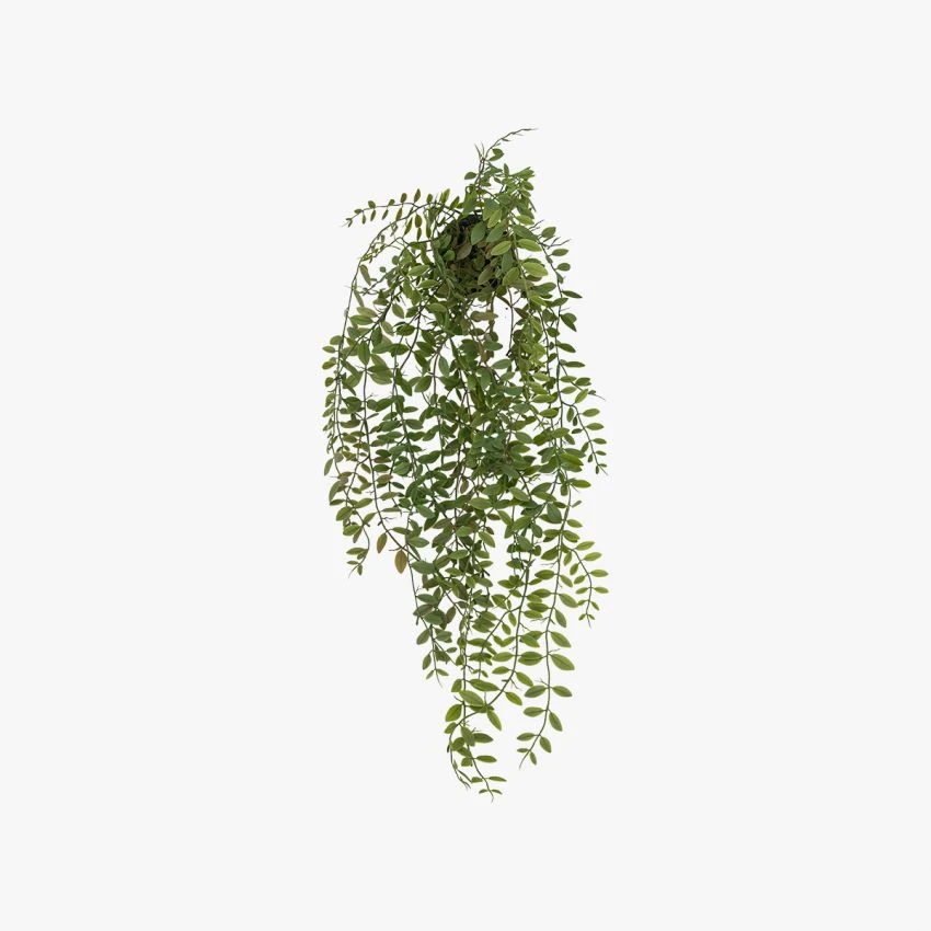 Jamir Faux Trailing Fern In Dark Soil 1 Jamir Faux Trailing Fern In Dark Soil