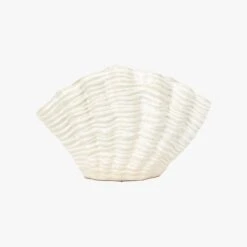 Cockle Shell Vase