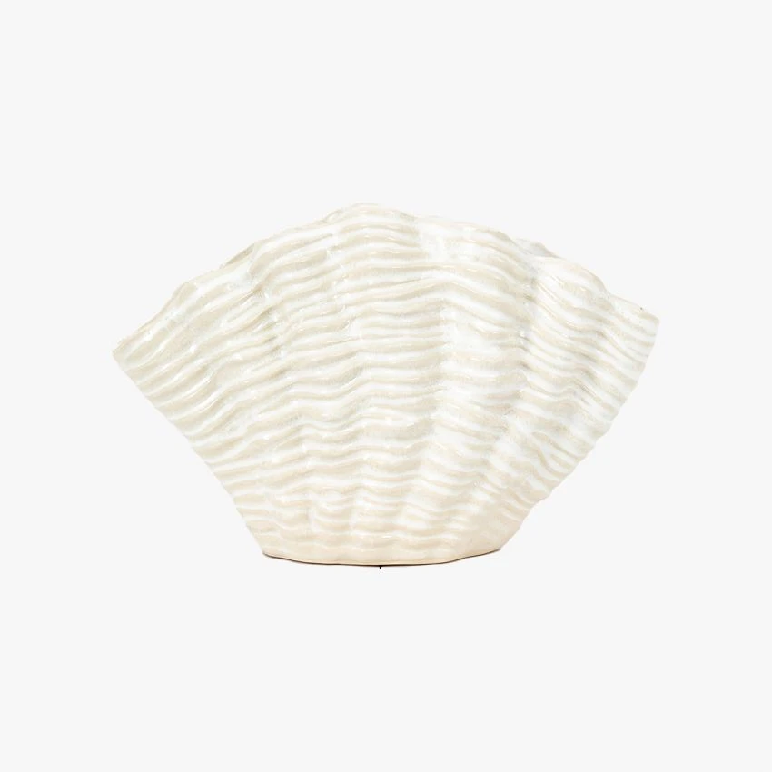 Cockle Shell Vase 1 Cockle Shell Vase