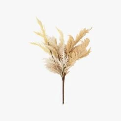 Dried Natural Grass Bouquet
