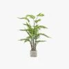 Solana Faux Fern In Stone Grey Pot, Large